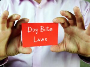 dog bites